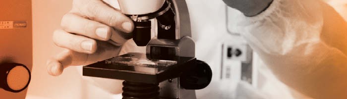 Forscher beim Einstellen eines Mikroskops