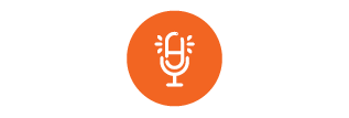 Voice icon